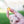 Load image into Gallery viewer, Essential Candy image of a piece of a lozenge
