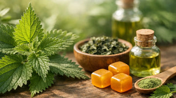 Nettle Leaf Benefits for Everyday Plant Support
