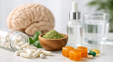 What Are Nootropics? A Clear, Careful Guide