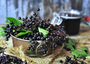 Fresh elderberries with green leaves in a rustic metal bowl on wooden surface with jar in background