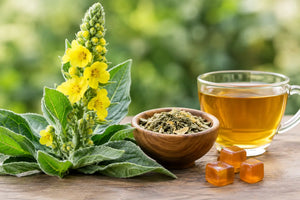 Mullein Benefits and What the Research Says
