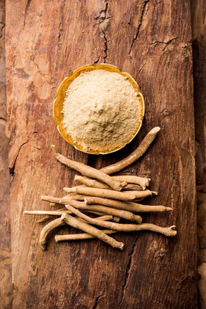 Organic ashwagandha powder in a small bowl with dried roots on a rustic wooden background.