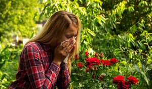 Woman in a red plaid shirt sneezing into a tissue next to red roses in a garden.