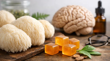 Organic Lion’s Mane for Cognitive Support and Focus