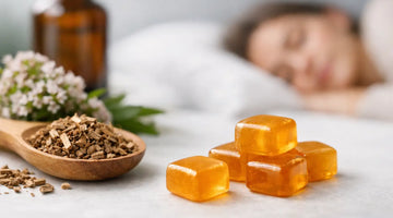 Amber valerian root lozenges with raw root and a person sleeping in the background.