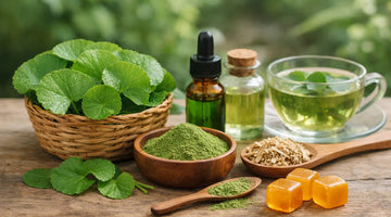 What Is Gotu Kola and How Is It Used Today?
