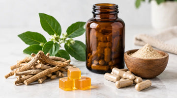 Ashwagandha Supplement Review: What to Look For