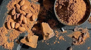 Cocoa beans, cocoa powder in bowl, and broken cocoa chunks on dark slate surface