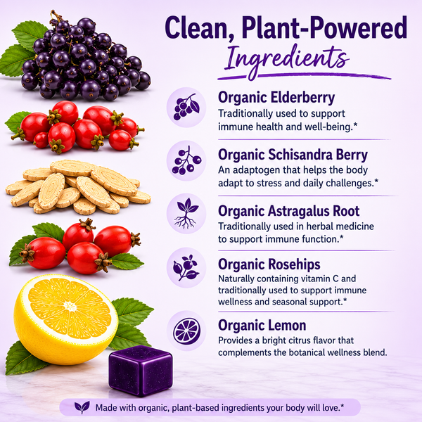 Wellness™ Botanical Lozenges – Daily Immune and Seasonal Support – Organic Elderberry, Astragalus, Schisandra, Lemon and Rosehips – Gluten-Free, Non-GMO, Vegan*