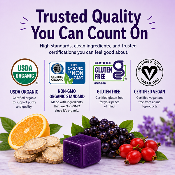Wellness™ Botanical Lozenges – Daily Immune and Seasonal Support – Organic Elderberry, Astragalus, Schisandra, Lemon and Rosehips – Gluten-Free, Non-GMO, Vegan*
