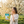 Load image into Gallery viewer, Breathe Better Woman Holding Bag and Lozenge
