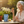 Load image into Gallery viewer, Clarity Lifestyle - Woman
