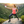 Load image into Gallery viewer, Joint Comfort Active Lifestyle
