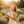 Load image into Gallery viewer, Uplifting Joyful Outdoor Updated
